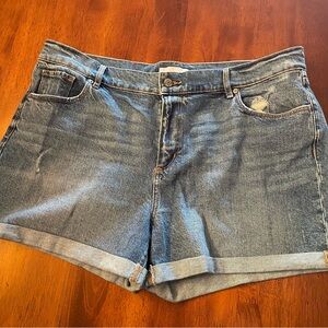 Size 14 Loft Jean Shorts